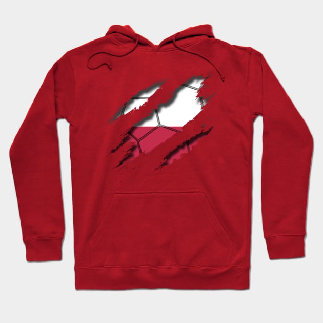 Poland Football Hoodie by blackcheetah